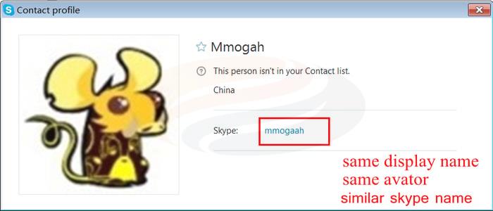 fake skype name