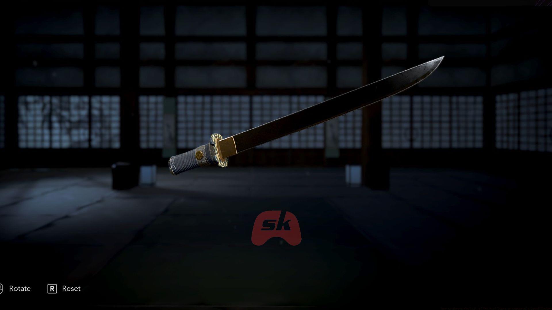 Call of The Void Tanto in Assassin