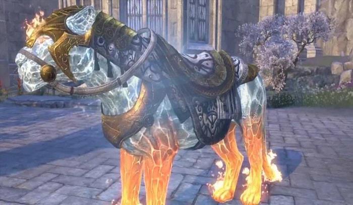 Champion Senche Lion