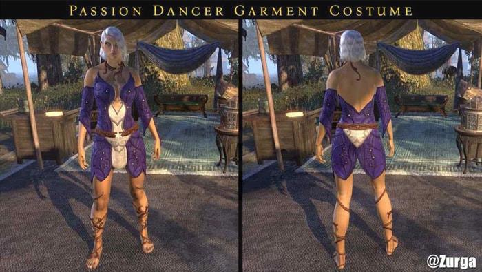Passion Dancer Garment Costume