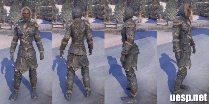 Skaal-Explorer-Outfit-ESO