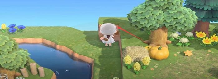 Animal Crossing Cliff