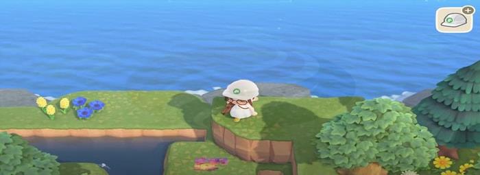 Animal Crossing Top of The Cliff