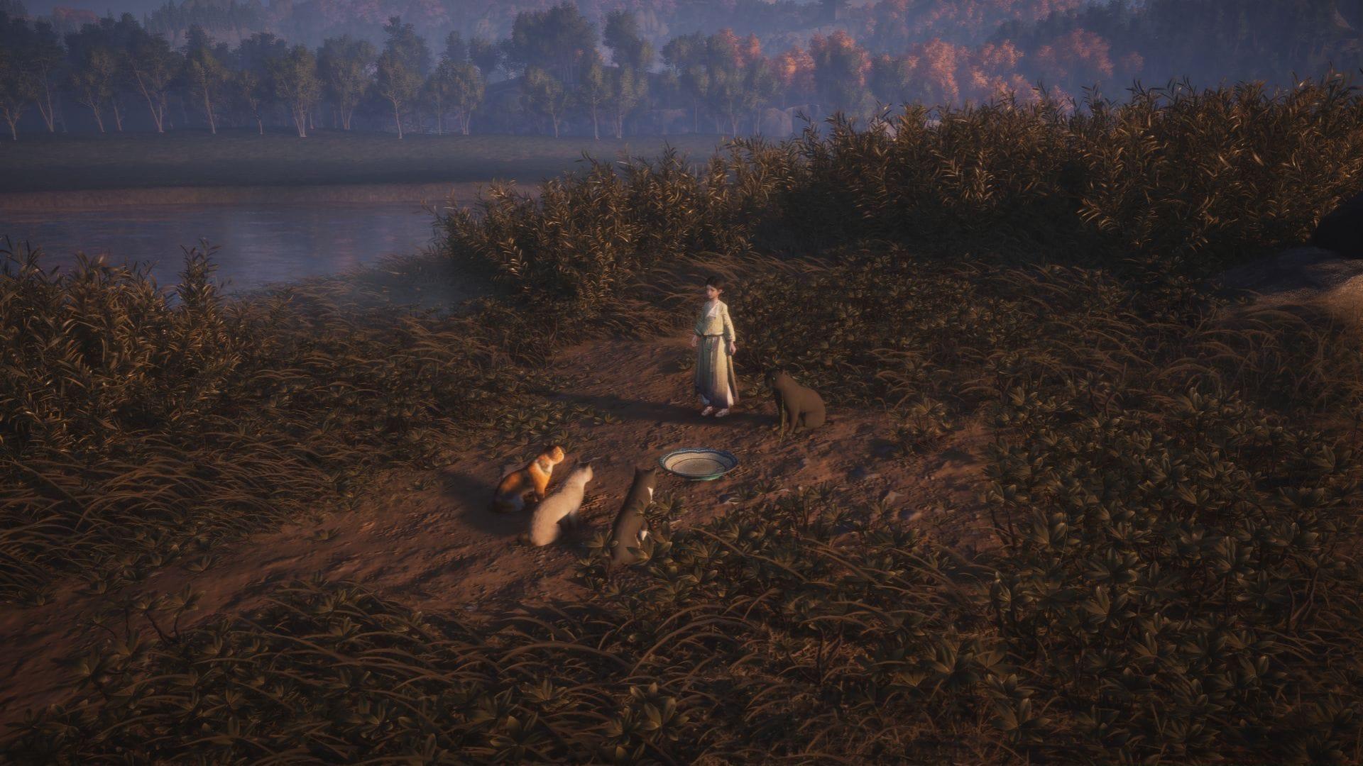 Rally the Cats quest walkthrough (Image via NetEase)