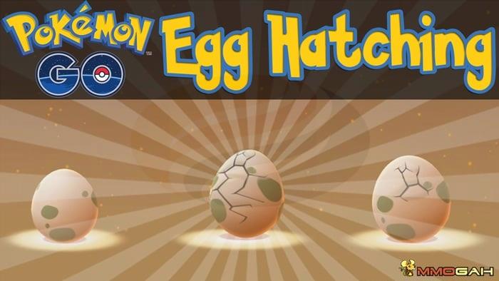 hatch eggs