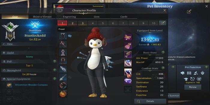 Lost Ark Specialization