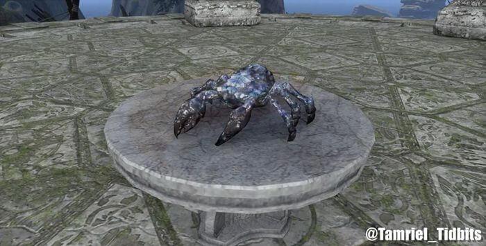the Mirrormoor Mudcrab pet