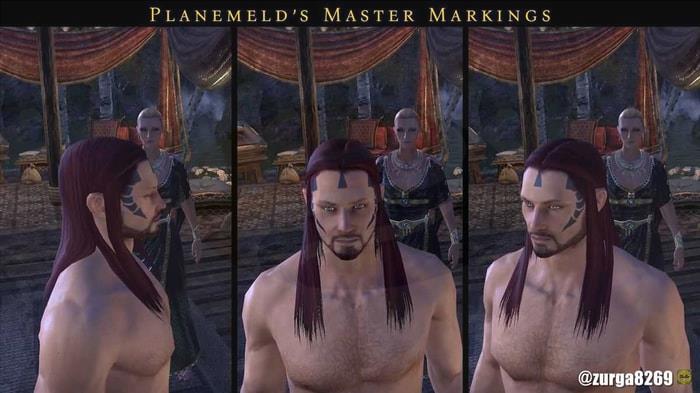 The Planemeld's Master marking