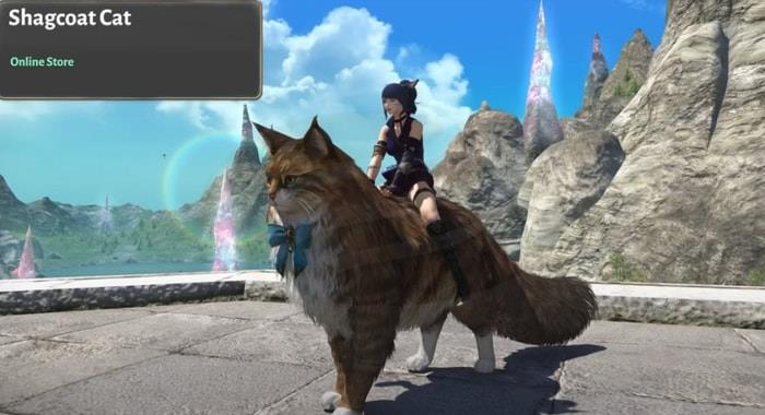 Shagcoat Cat
