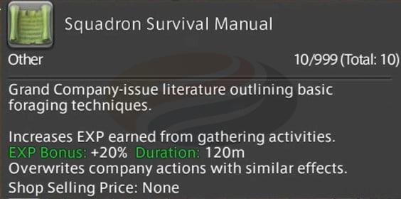 Squadron Survival Manual