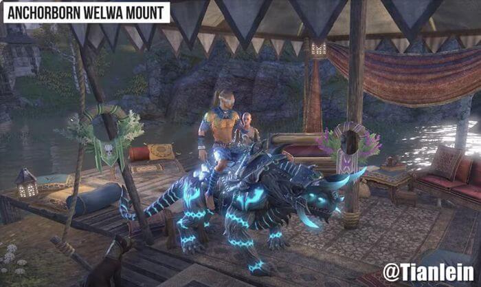 the Anchorborn Welva Mount